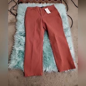 Gloria Vanderbilt Jeans size 18 short Glen Rose